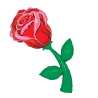 Rose Balloon