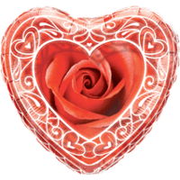 Trellis Framed Rose Balloon